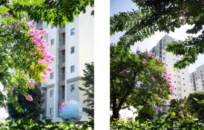 SẮC TÍM BẰNG LĂNG NGHIÊNG MÌNH BÊN WEST SKY